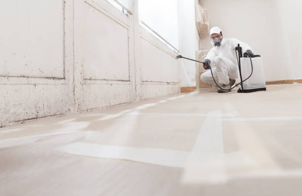 24/7 Emergency Basement Mold Remediation experts in Key Biscayne, FL